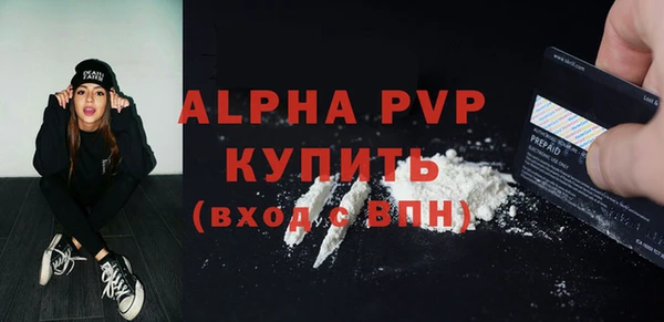 дмт Бородино