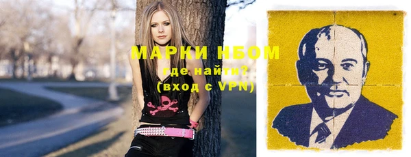 дмт Бородино